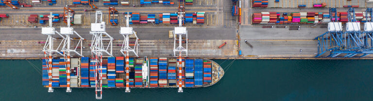 Het laden en lossen van een containerschip in de Rotterdamse haven.